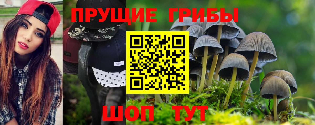 Чебоксары  Псилоцибиновые грибы мицелий  Псилоцибиновые грибы GOLDEN TEACHER  Вход с VPN 