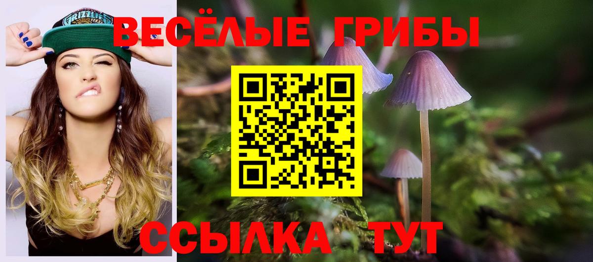 Галлюциногенные грибы мицелий Чебоксары